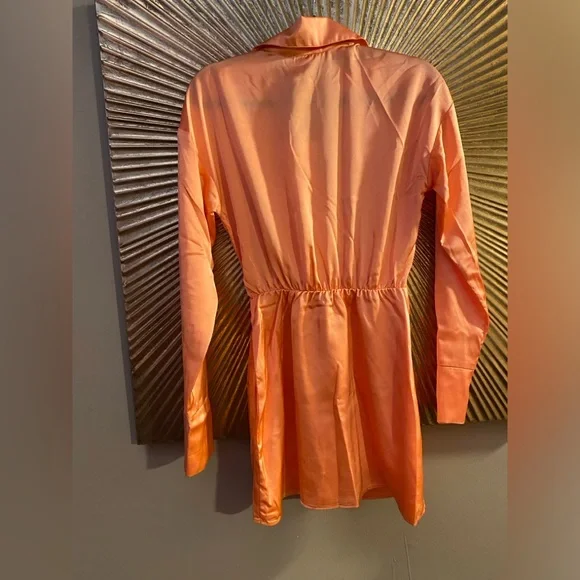 Show Me Your Mumu Clara Collared Mini Dress in Cantaloupe Luxe Satin Size XS - Picture 6 of 9